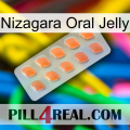 Nizagara Oral Jelly 26